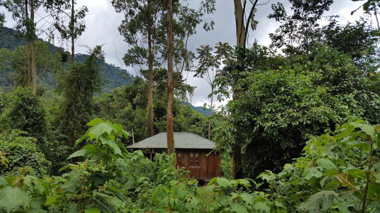 Bwindi Guest House Kanungu Extérieur photo