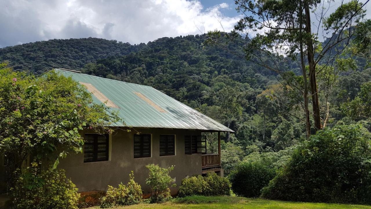 Bwindi Guest House Kanungu Extérieur photo