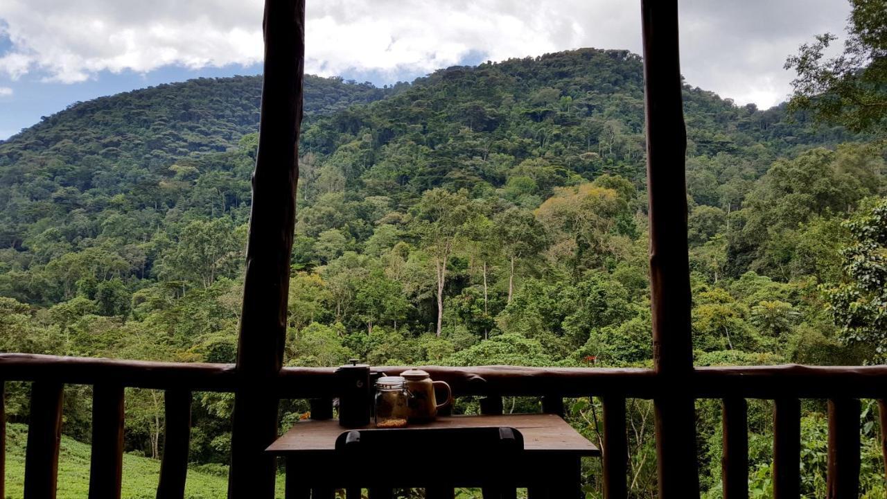 Bwindi Guest House Kanungu Extérieur photo