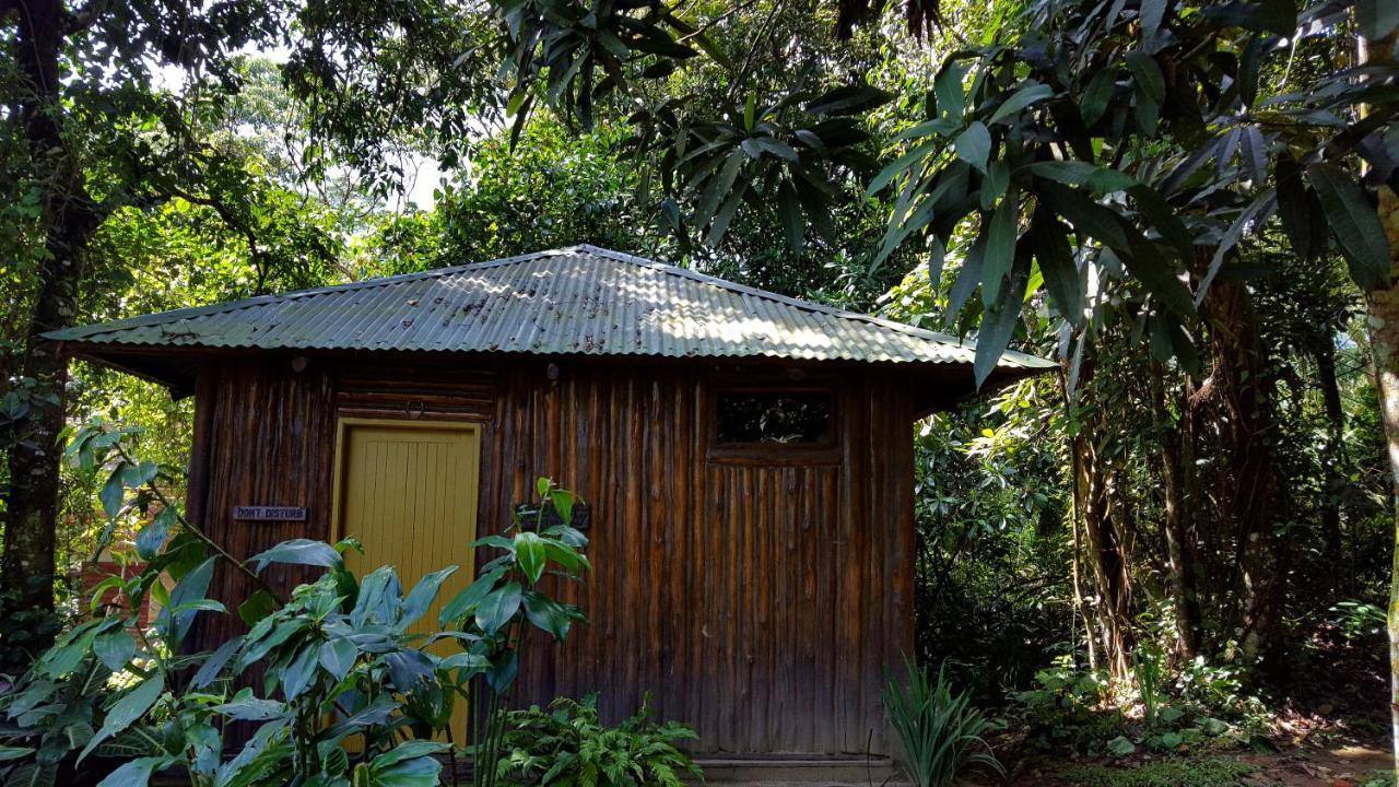 Bwindi Guest House Kanungu Extérieur photo